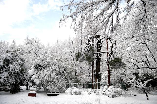 L'enseignement supérieur en Russie pour les Russes