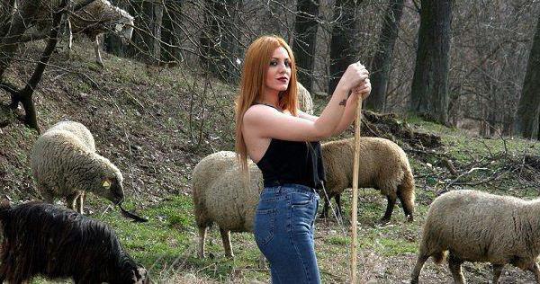 simple forex strategies