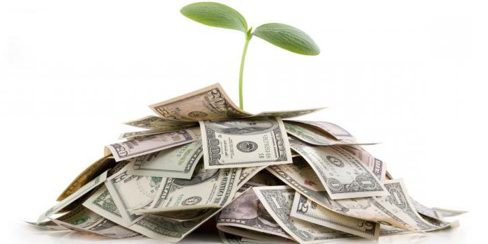 agence d'investissement social