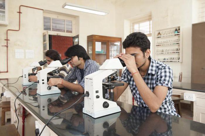 niveau d'éducation en Inde