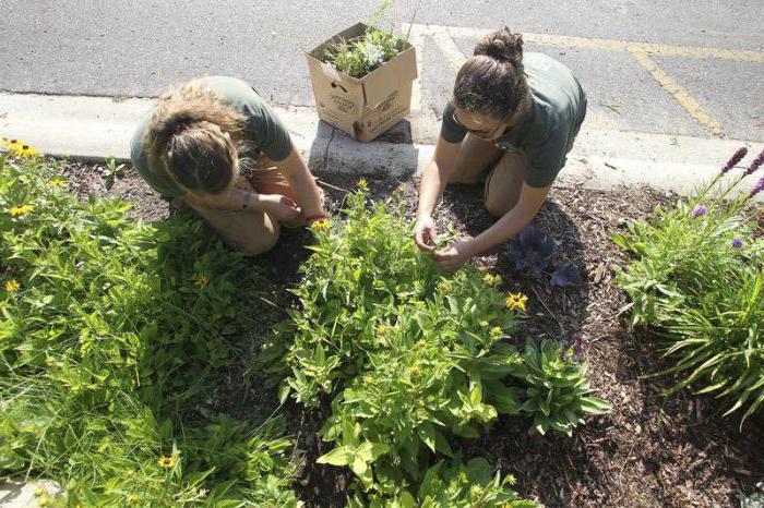 types d'entreprises pour les étudiants