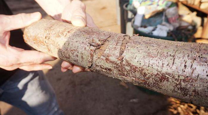 plan d'affaires bois de chauffage