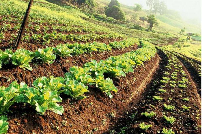 conditions de subvention pour l'agriculture