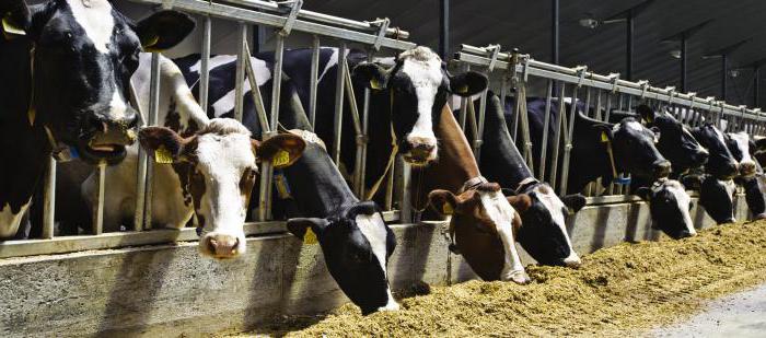 subvention pour le développement agricole