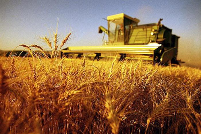 recevant une subvention pour le développement de l'agriculture à un agriculteur débutant