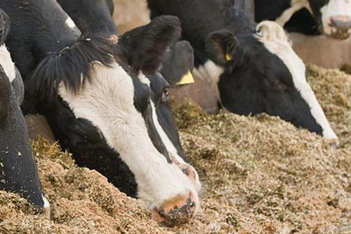 recevant une subvention pour le développement agricole