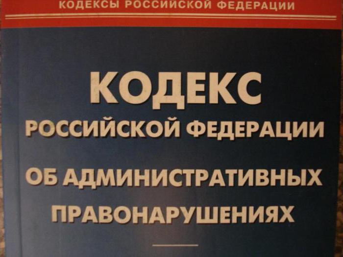 commandes du gouvernement pour les petites entreprises