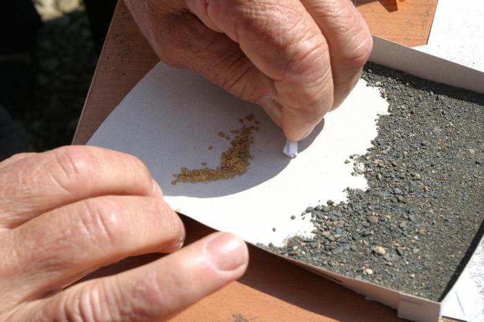 extraction d'or en Russie par des particuliers 2016