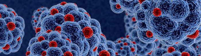 certificat épidémiologique