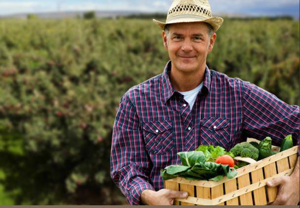  idées d'affaires à la maison pour les hommes