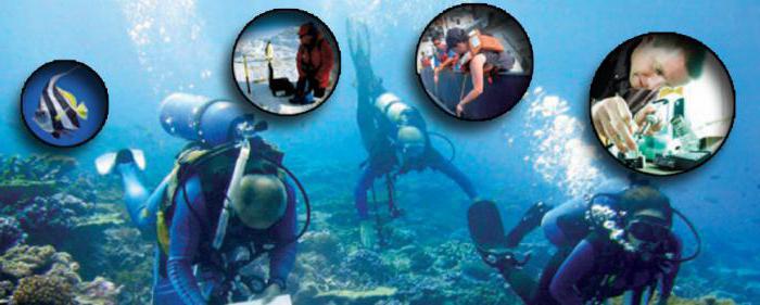 types de professions