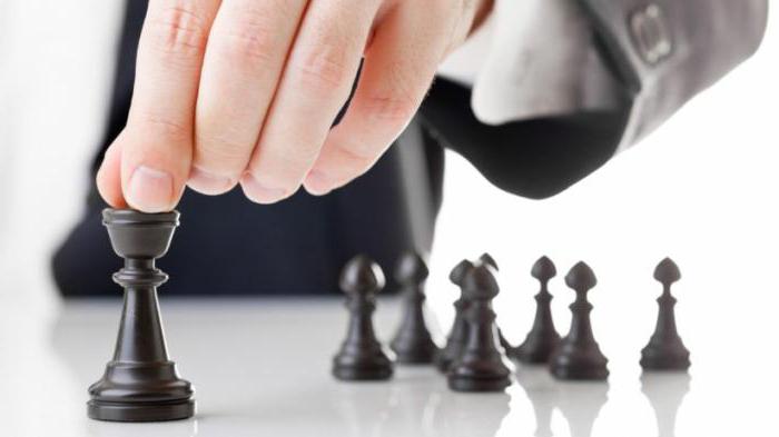 développement d'un business plan pour la diversification de l'entreprise