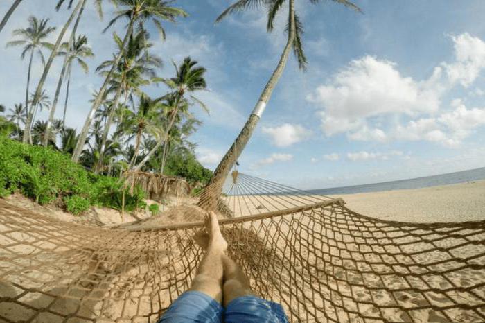 écrire des articles pour de l'argent