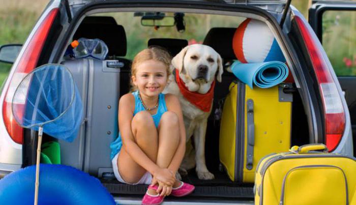 comment choisir une voiture d'occasion