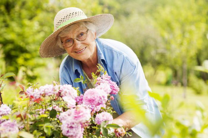 club d'intérêt pour les aînés