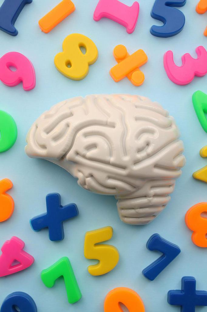 chiffres et cerveau
