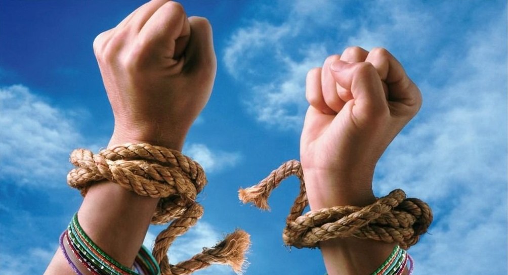 La faillite est-elle rentable pour le développeur?