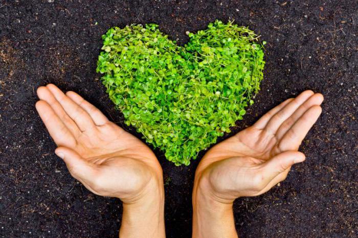 droits de propriété