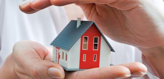 relation assureur assureur