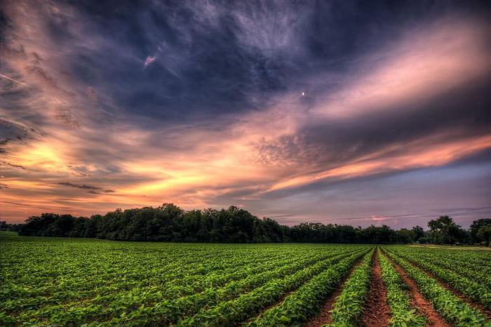 Ressources limitées relatives et absolues