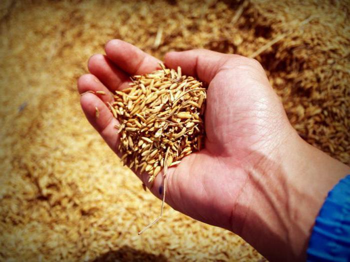 Activités de la KFH par OKVED