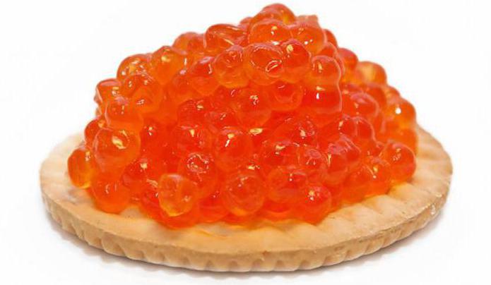 quoi apporter de la Finlande