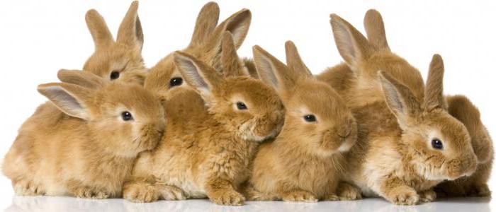 entreprise gagnant-gagnant à partir de zéro