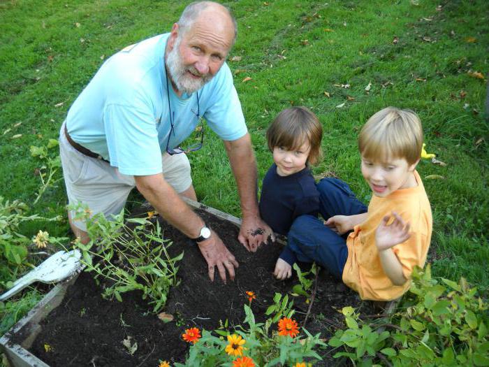 quelles affaires ouvrir au retraité