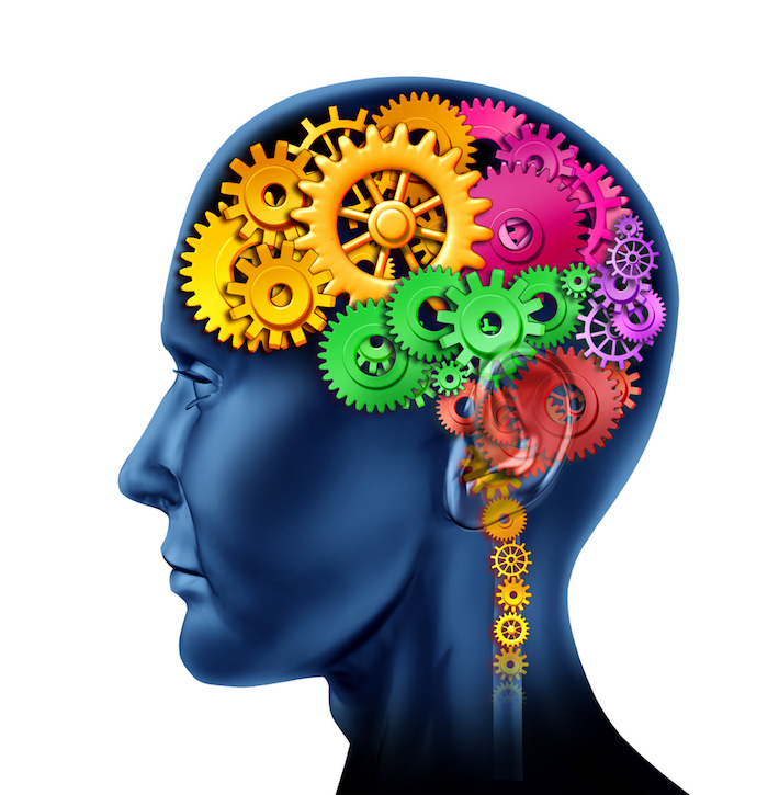 Means of intellectual activity