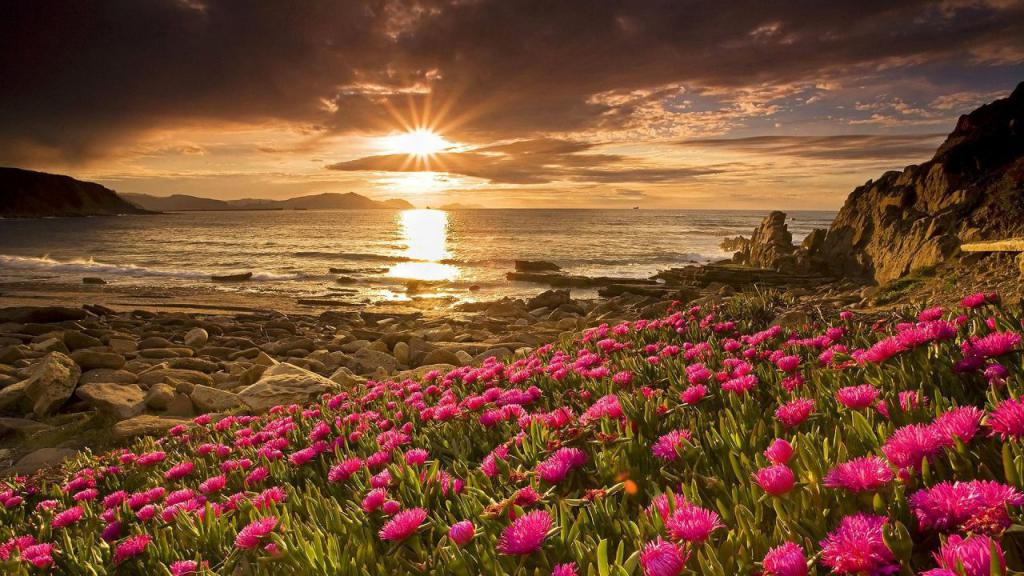 Beau paysage - une partie de PS