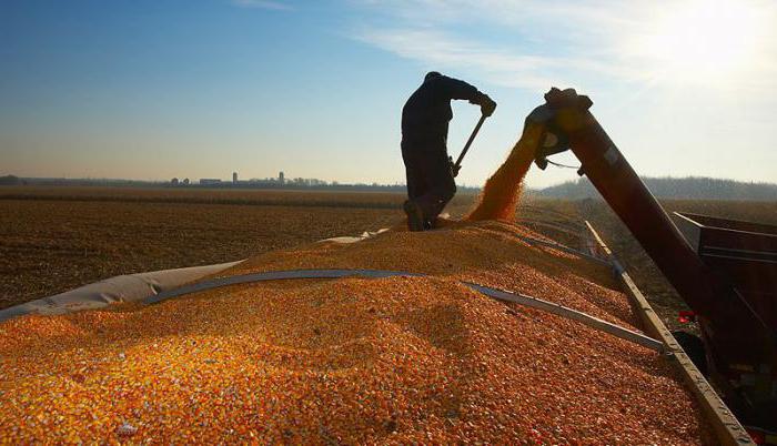indicateurs de gravité et d'intensité de travail