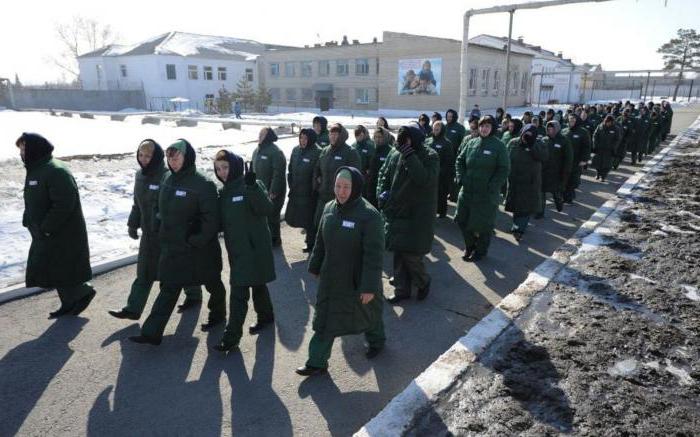 pardon in accordance with the constitution of the Russian Federation