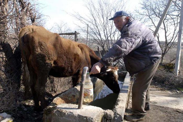 terrains pour logements privés
