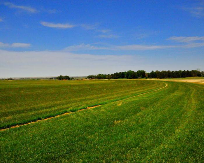 combien coûte une part de terre