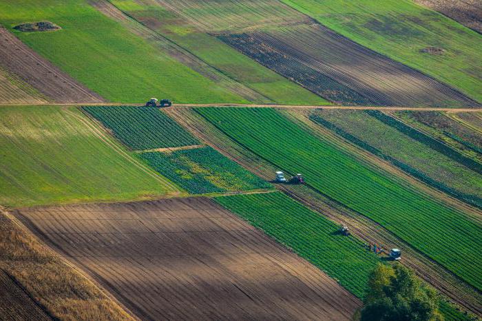 saisie non autorisée de la responsabilité foncière