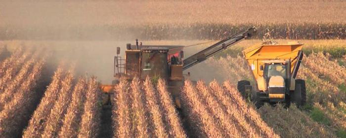 technologue en production