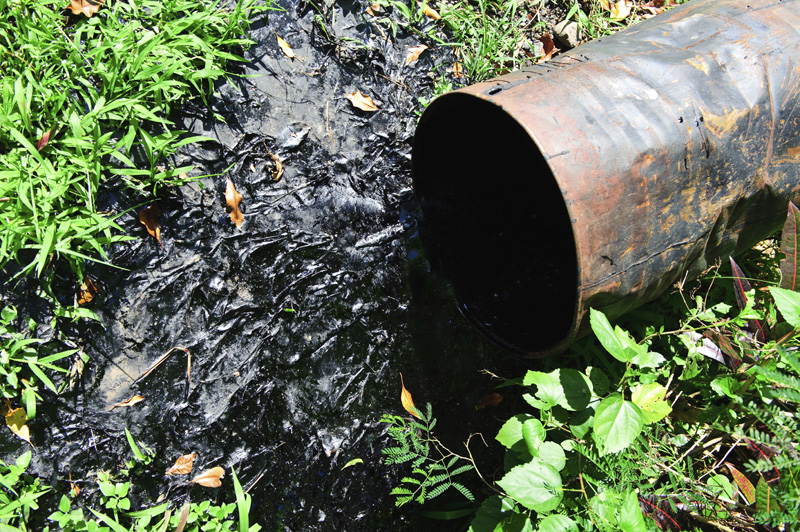 cause de marée noire