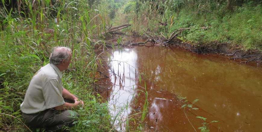 causes de marée noire