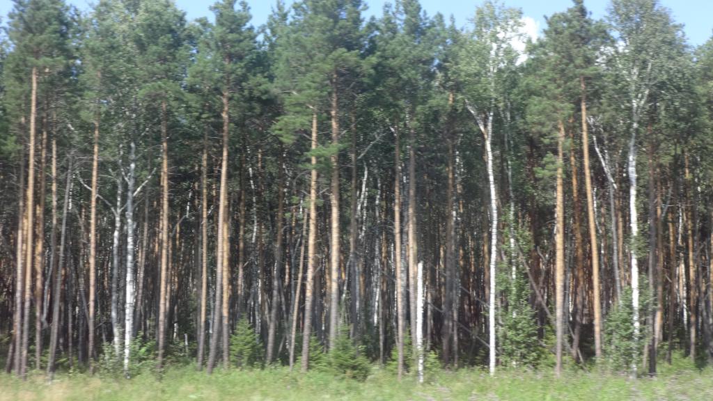 Problèmes démographiques de la région de Sverdlovsk