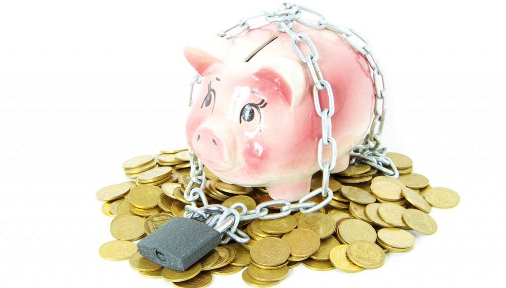 borrowed capital in the balance sheet