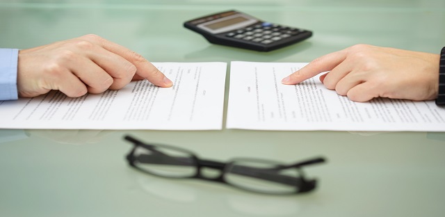 borrowed capital in the balance sheet