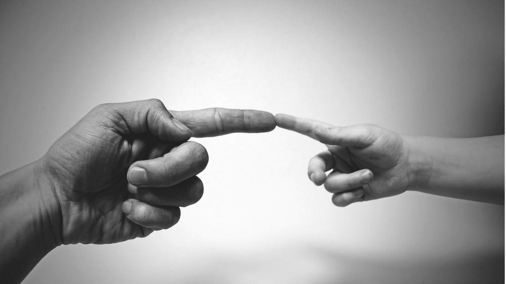 statut administratif et juridique des organisations à but non lucratif