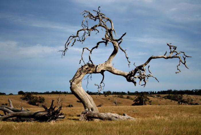 règles dans l'ordre chronologique