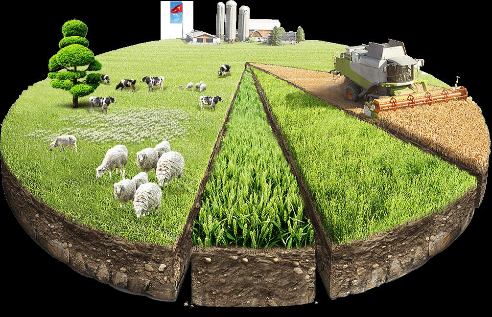 Accord de donation de terre