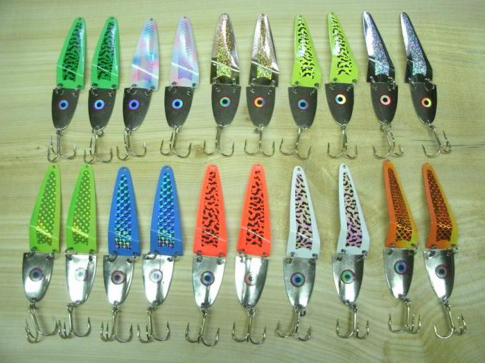 ce qui peut être apporté de la Finlande à partir de vêtements