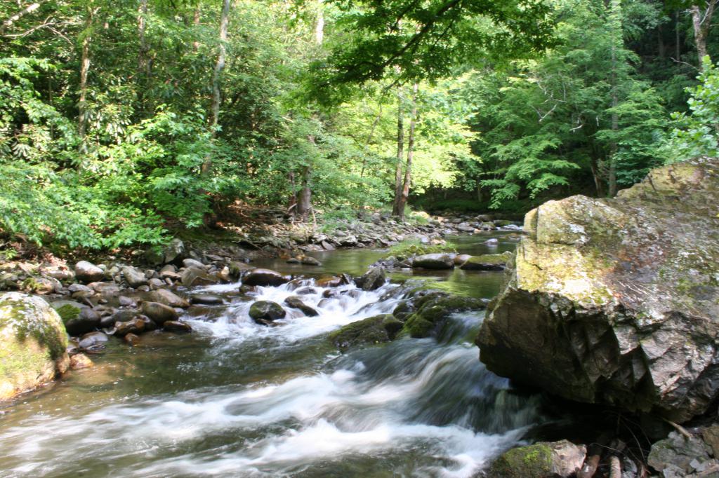 motifs de l'émergence de droits fonciers 25