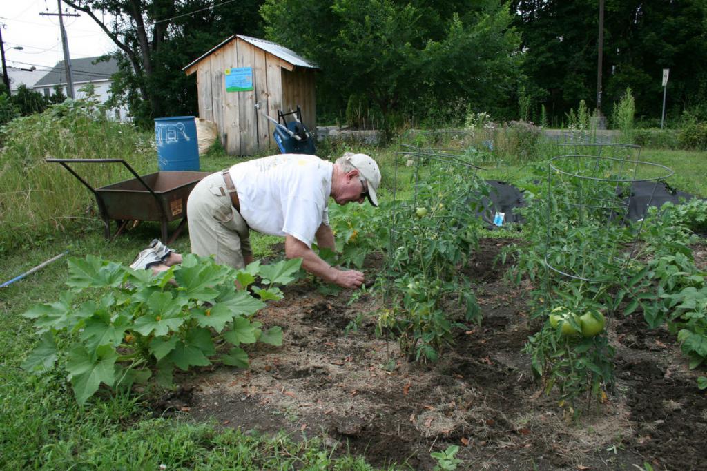 land surveying procedure
