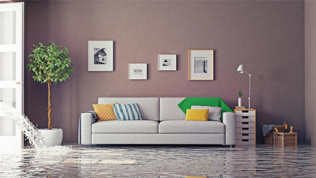 acte d'inspection d'un appartement pendant l'inondation