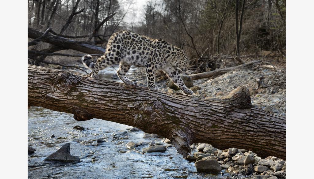 frontières des zones protégées