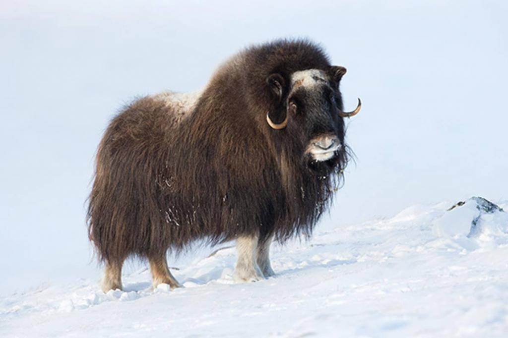Les zones naturelles spécialement protégées d’importance locale comprennent